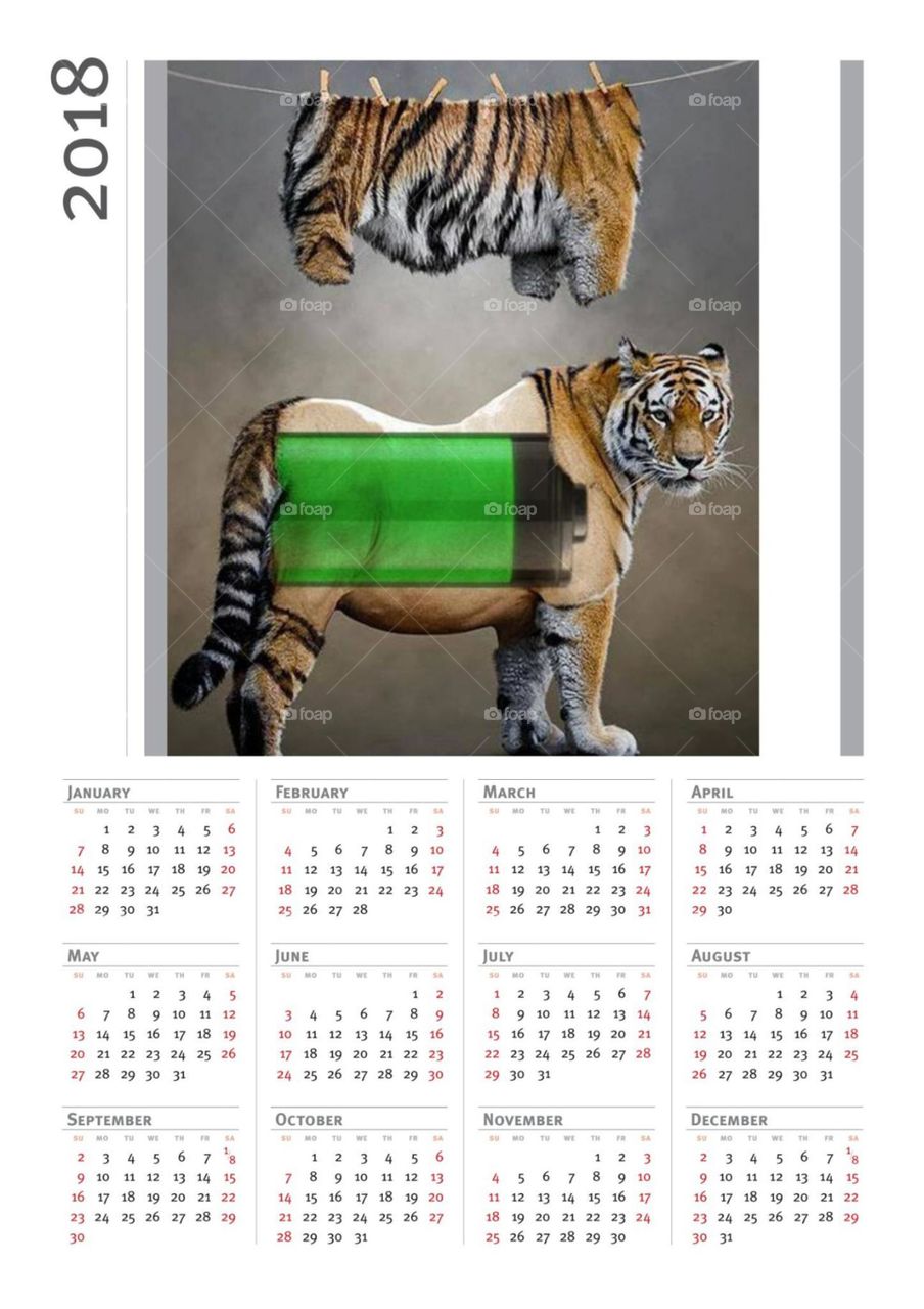Energie Tiger Kalender 2018