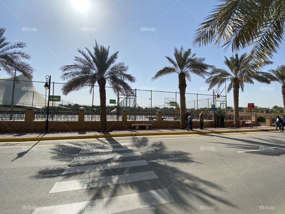 Shading pedestrian lane