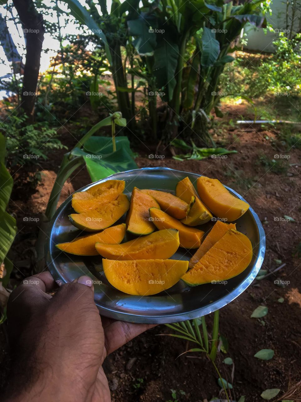 Tasty and yummy mangoes 