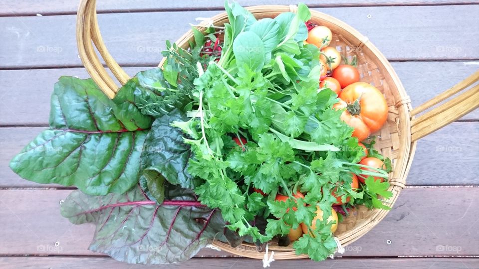 basket of organic vegetable