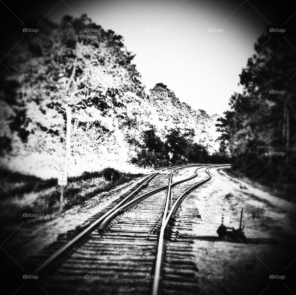 tracks