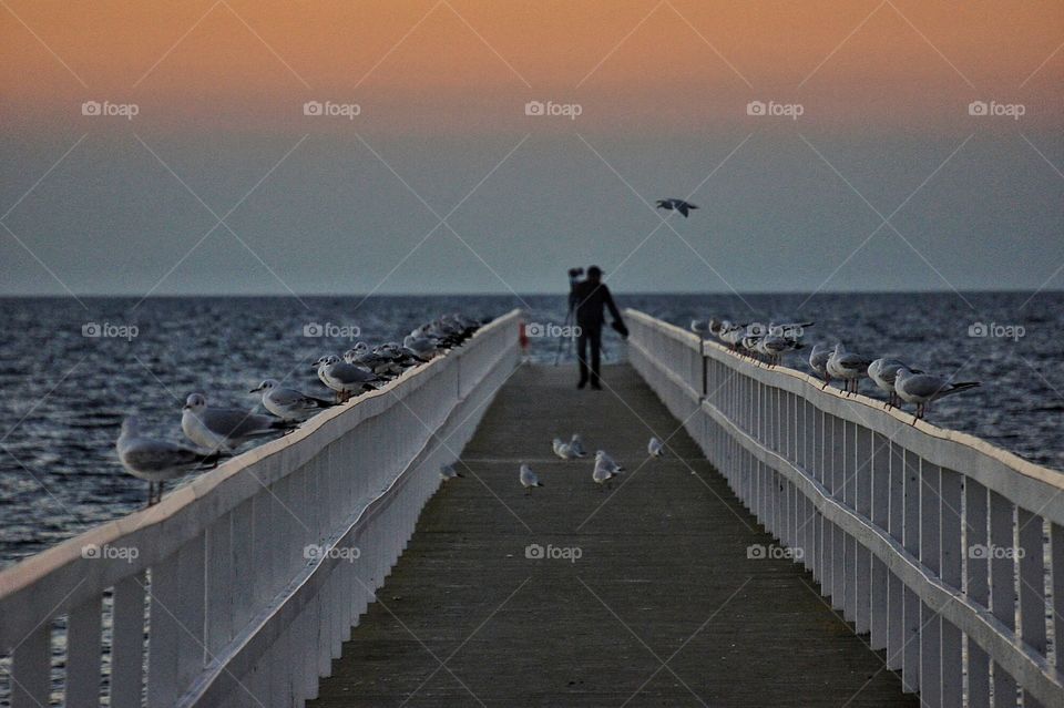 Photographer on the jetty