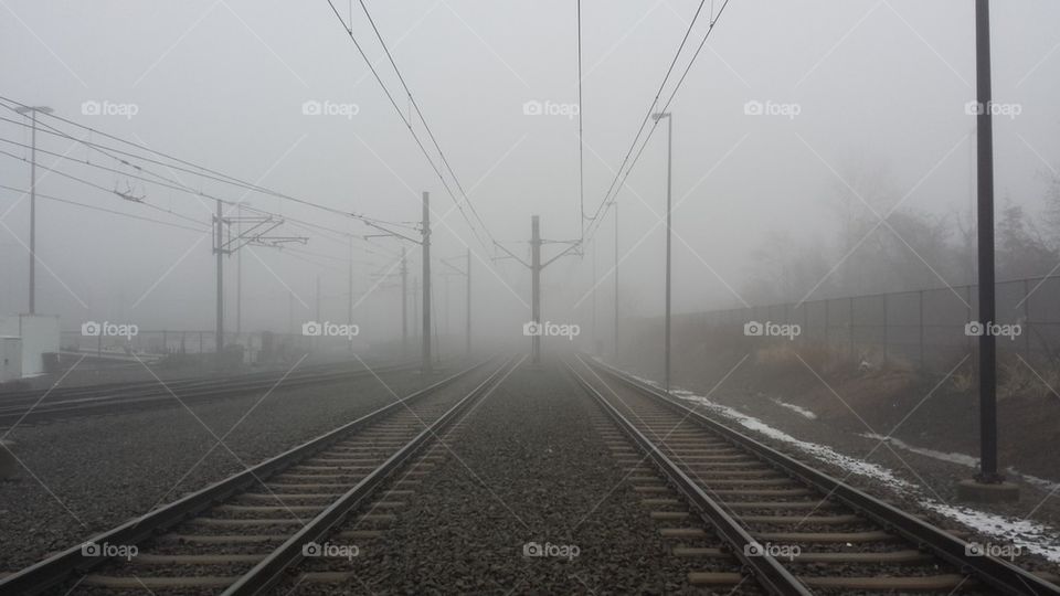 Tracks in fog
