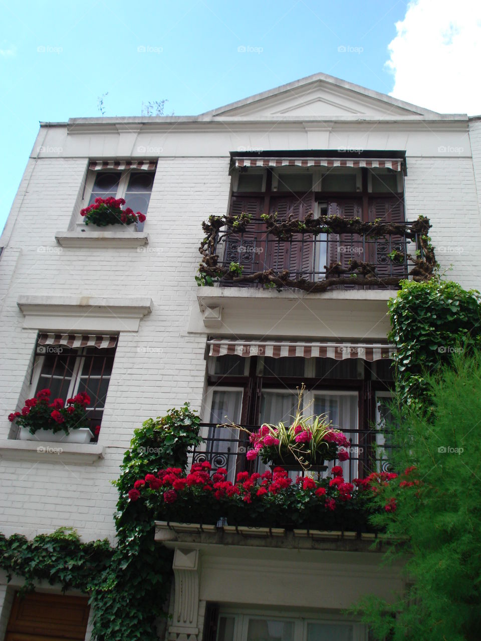 Apartments- Montmartre District/ Paris 