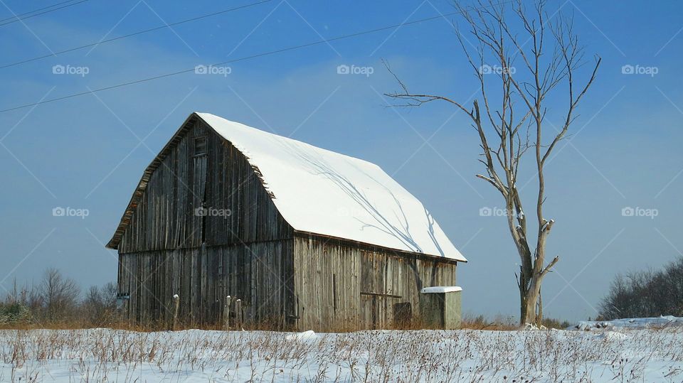 Old Plank Barn in field