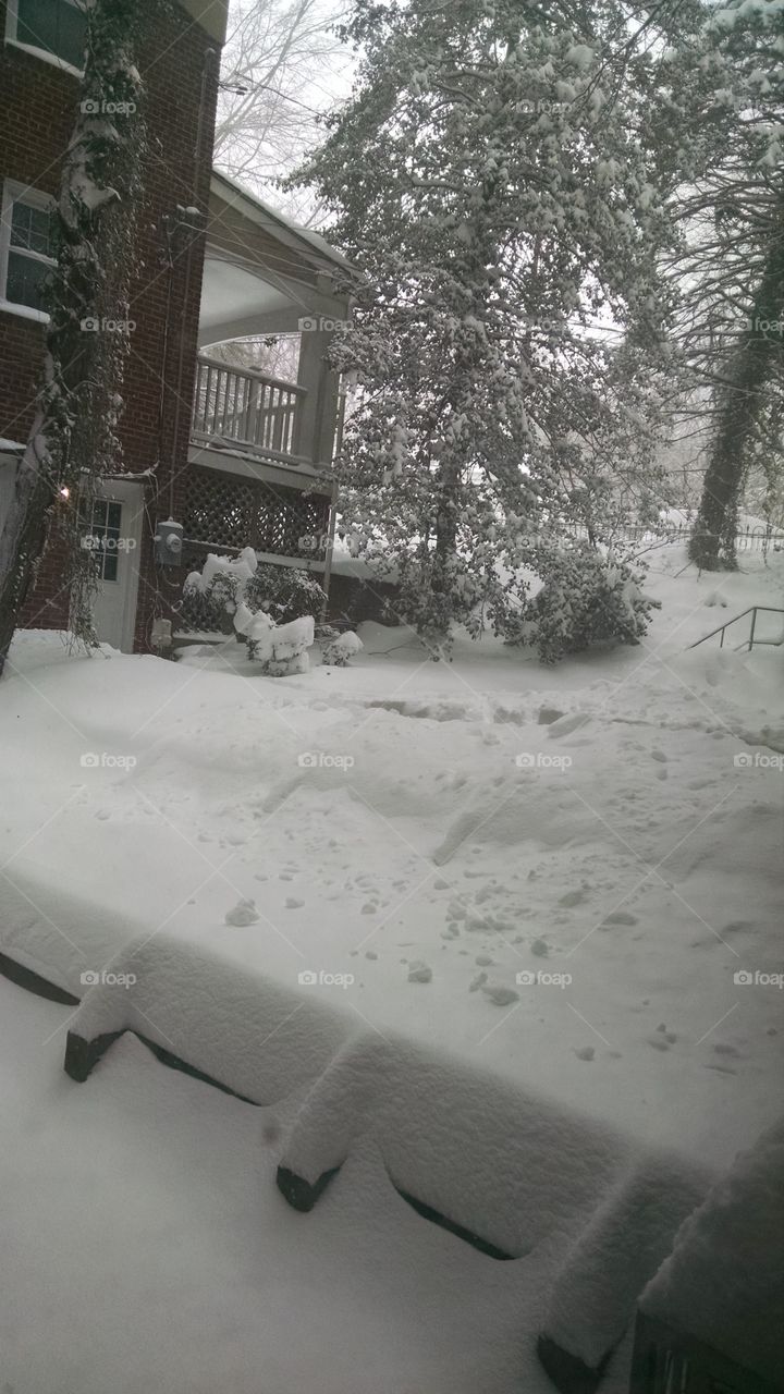 blizzard 2016