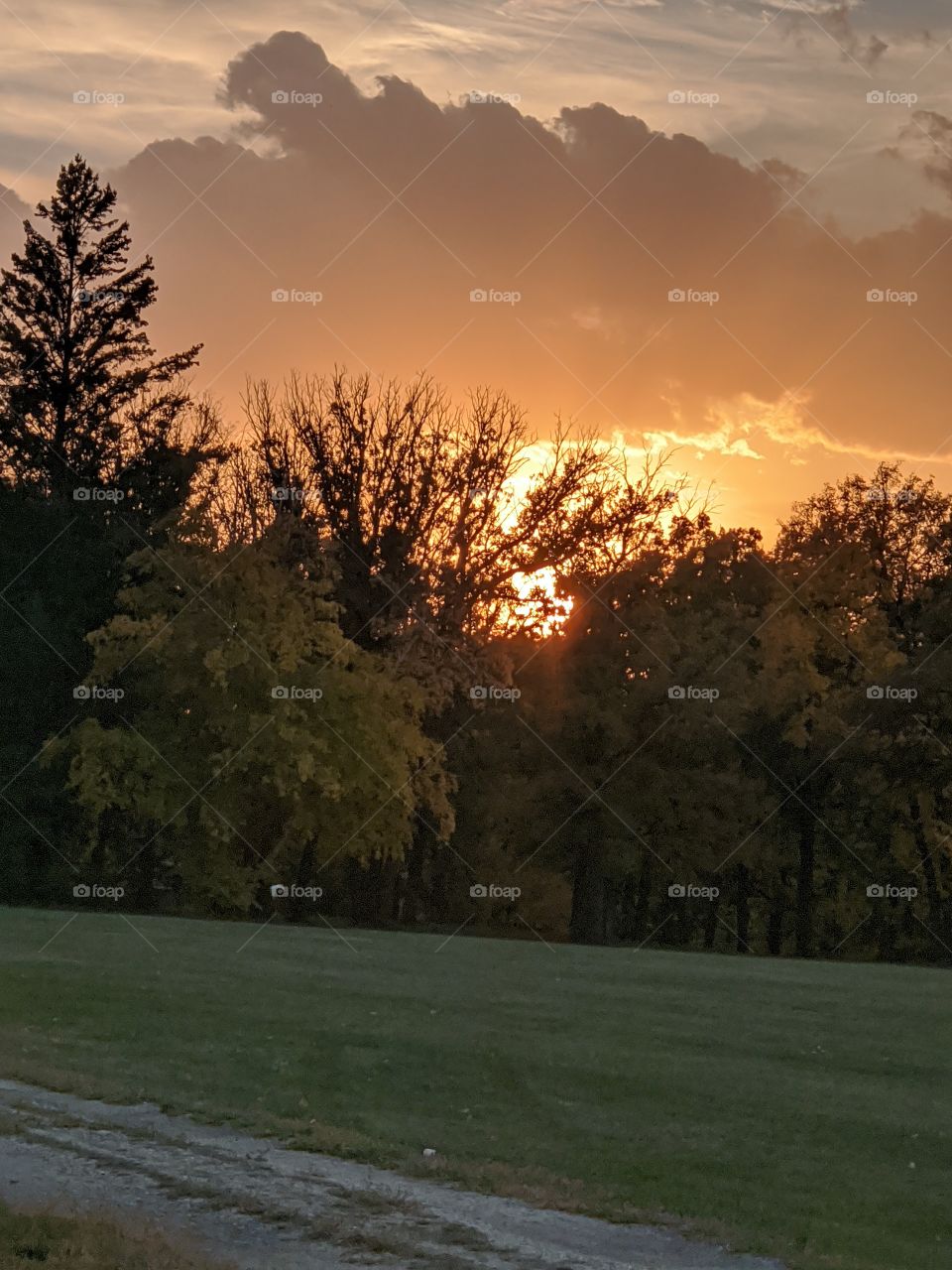 Sunset in the park