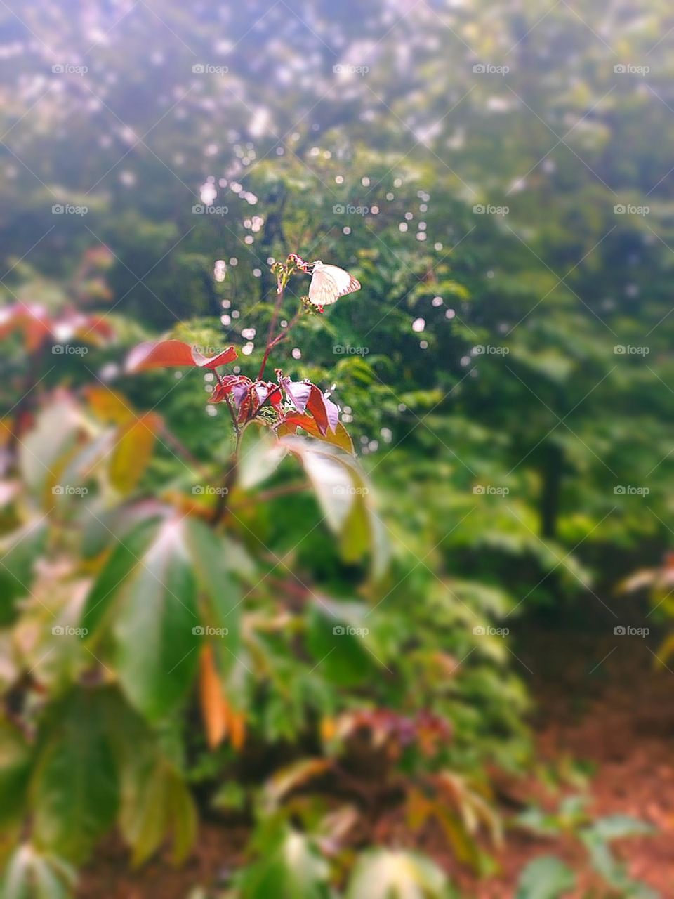 Aproveite o agora, trilhe seu trajeto e seja feliz ; )