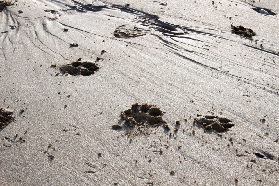 Sand, Beach, No Person, Seashore, Footprint