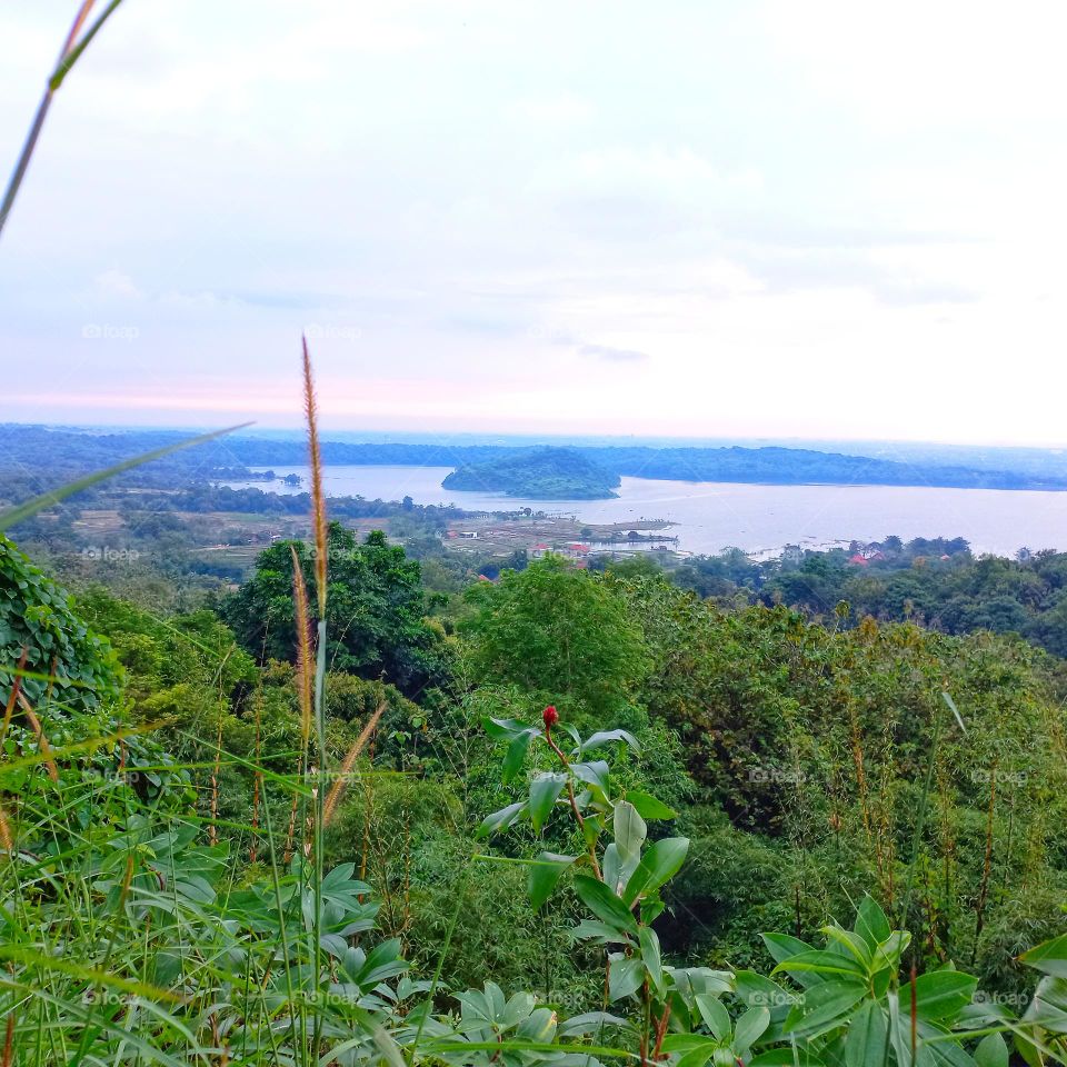 View of the lake above the height of the hill