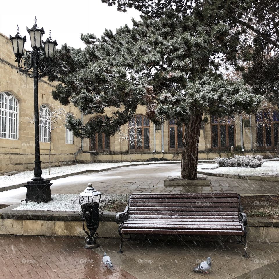Первый снег в Кисловодске.