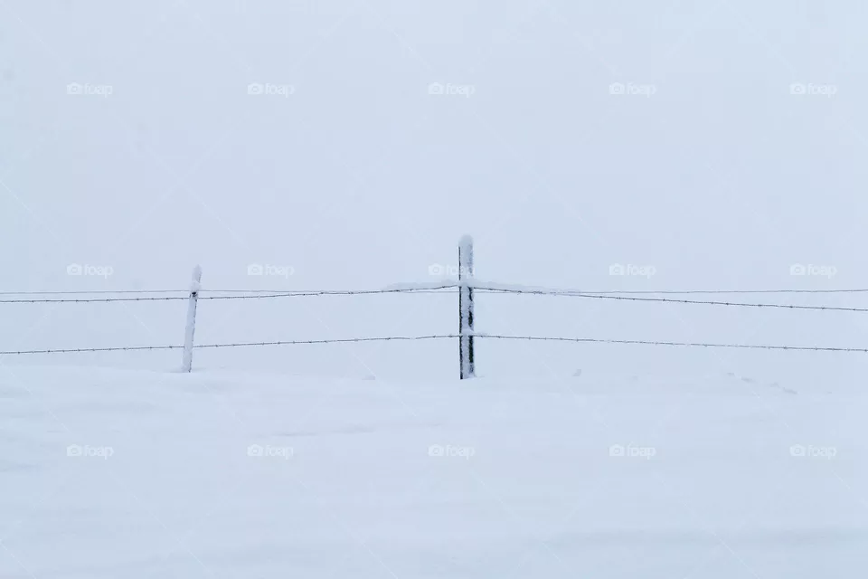 Schnee und ein Zaun