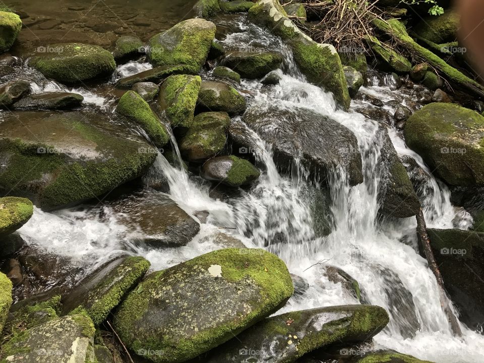 Water, Stream, River, Waterfall, Moss