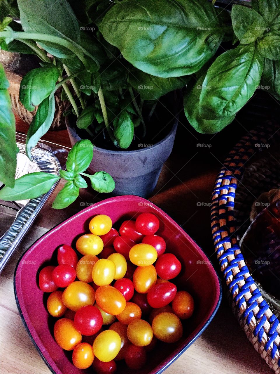 Fresh Basil plant and Tomatoes 