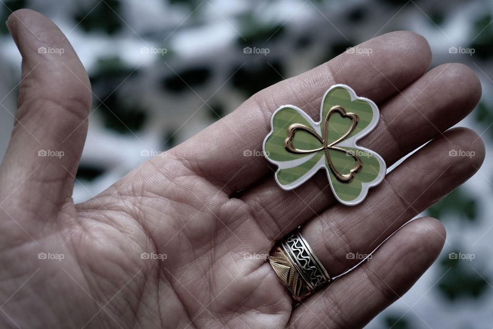 Hand Holding An Irish Shamrock, St. Patrick’s Day Celebration 
