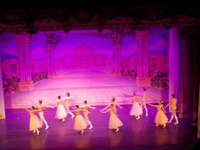 Symphony of Pink Lights