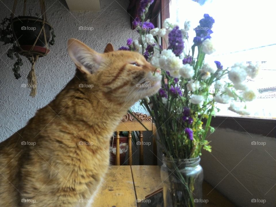 Stop and Smell the Flowers