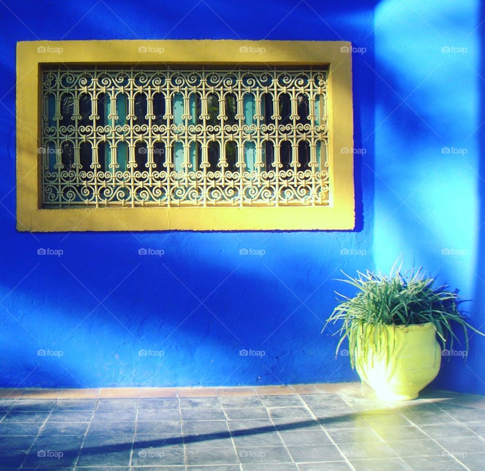 in the garden Majorelle in Marrakech