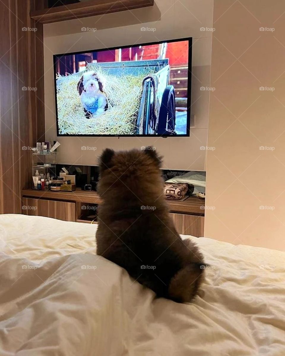 A nice shot displaying the bond of friendship