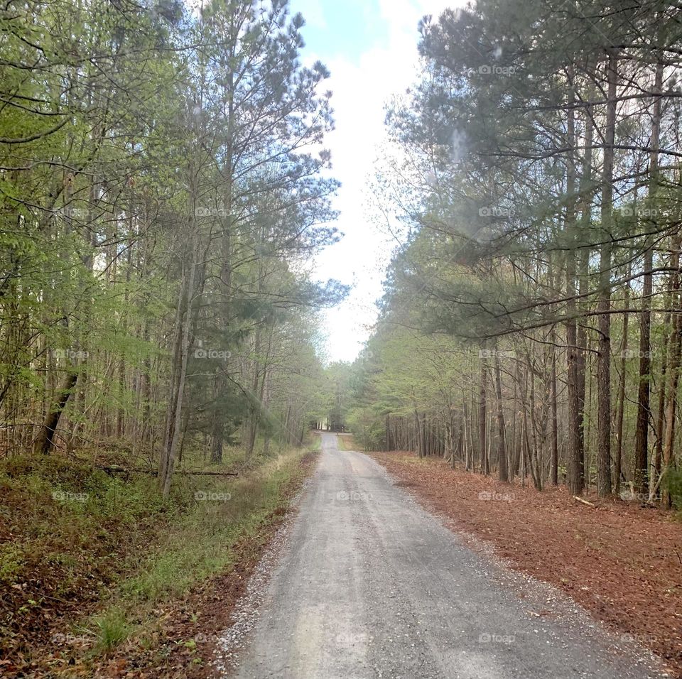 Rural road