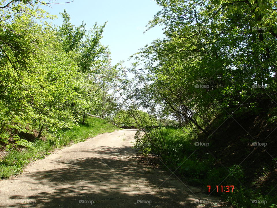 Fox river trail 2