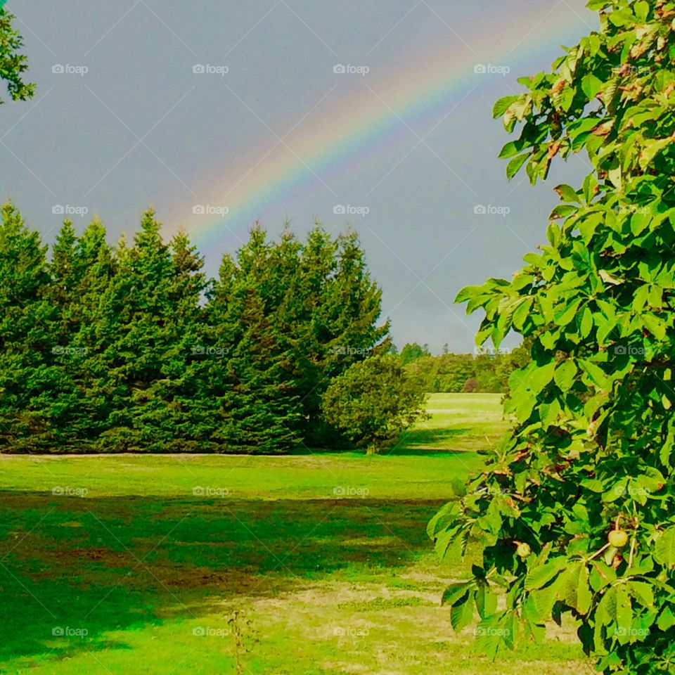 Beautiful view of a summer Rainbow