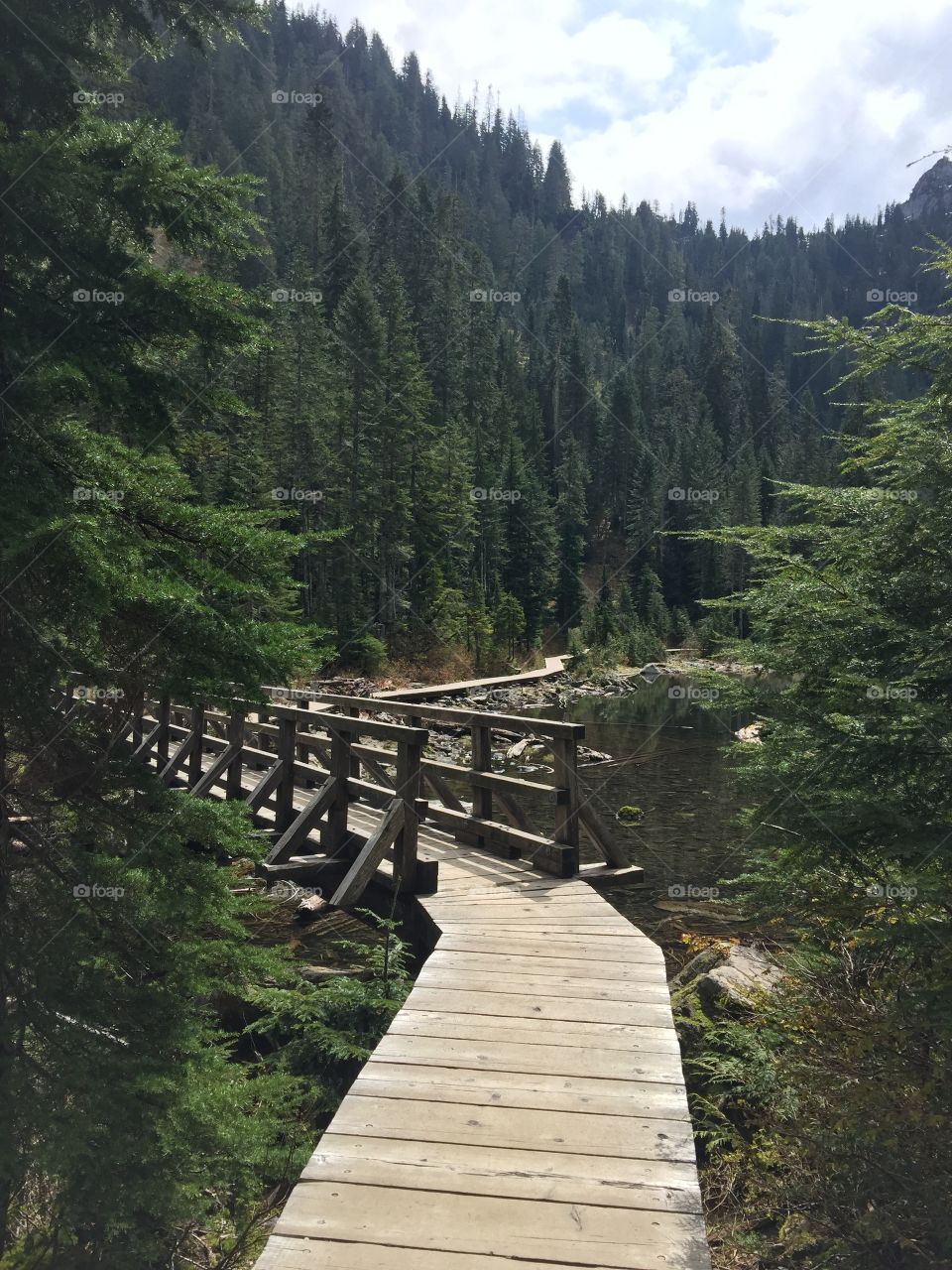 Nirvana . Life is better hiking in the forest