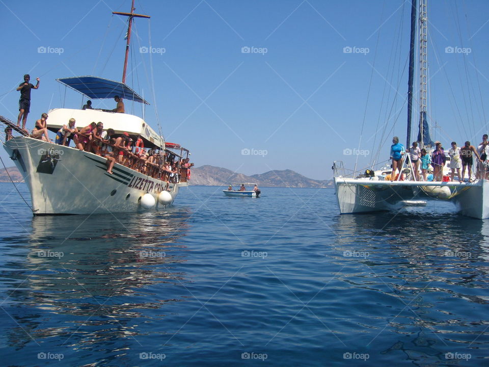 excursion boats looking for turtles