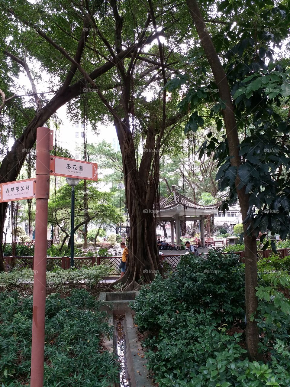signpost in a HK urban park