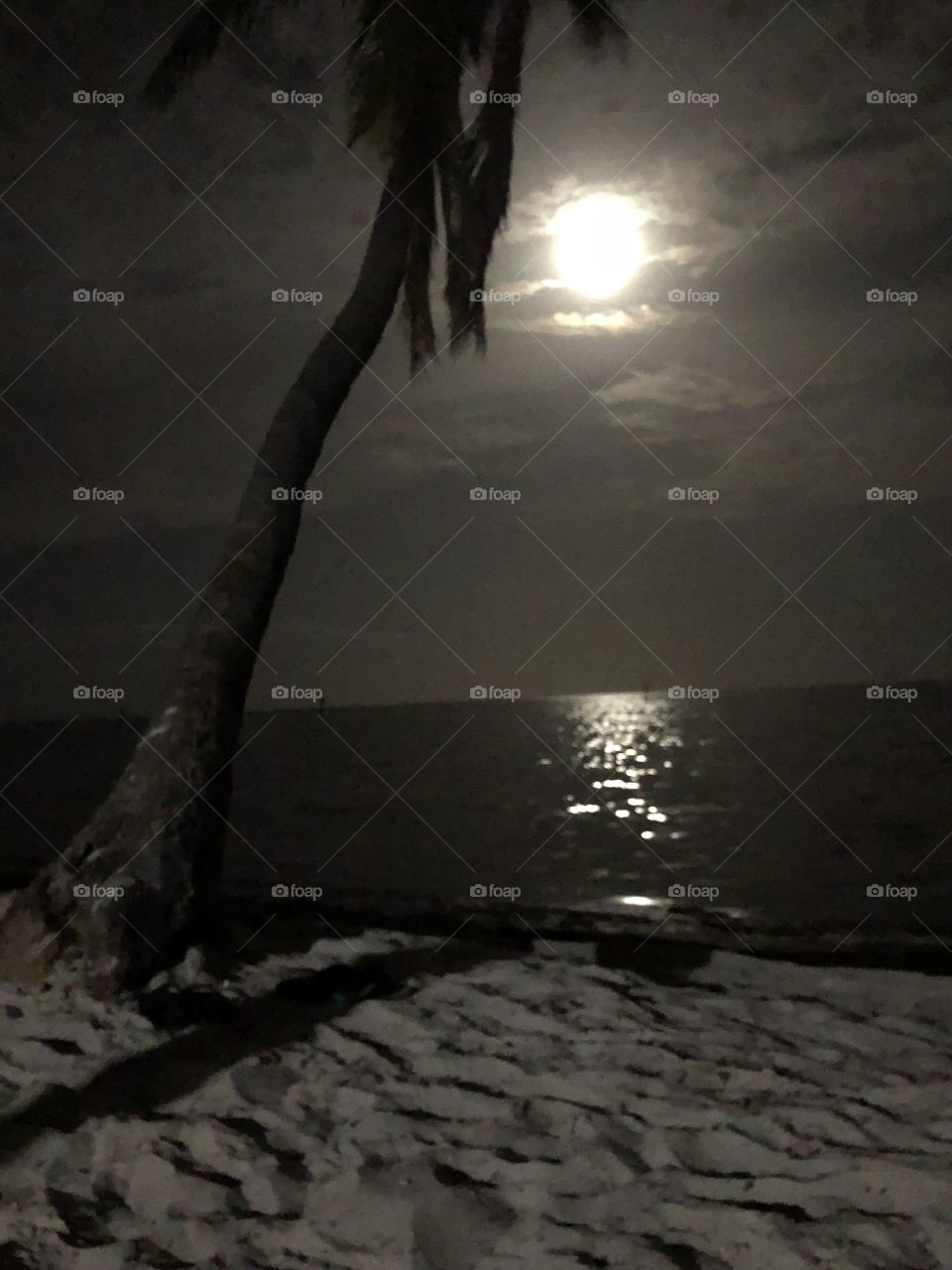 Full moon key west smather’s beach 