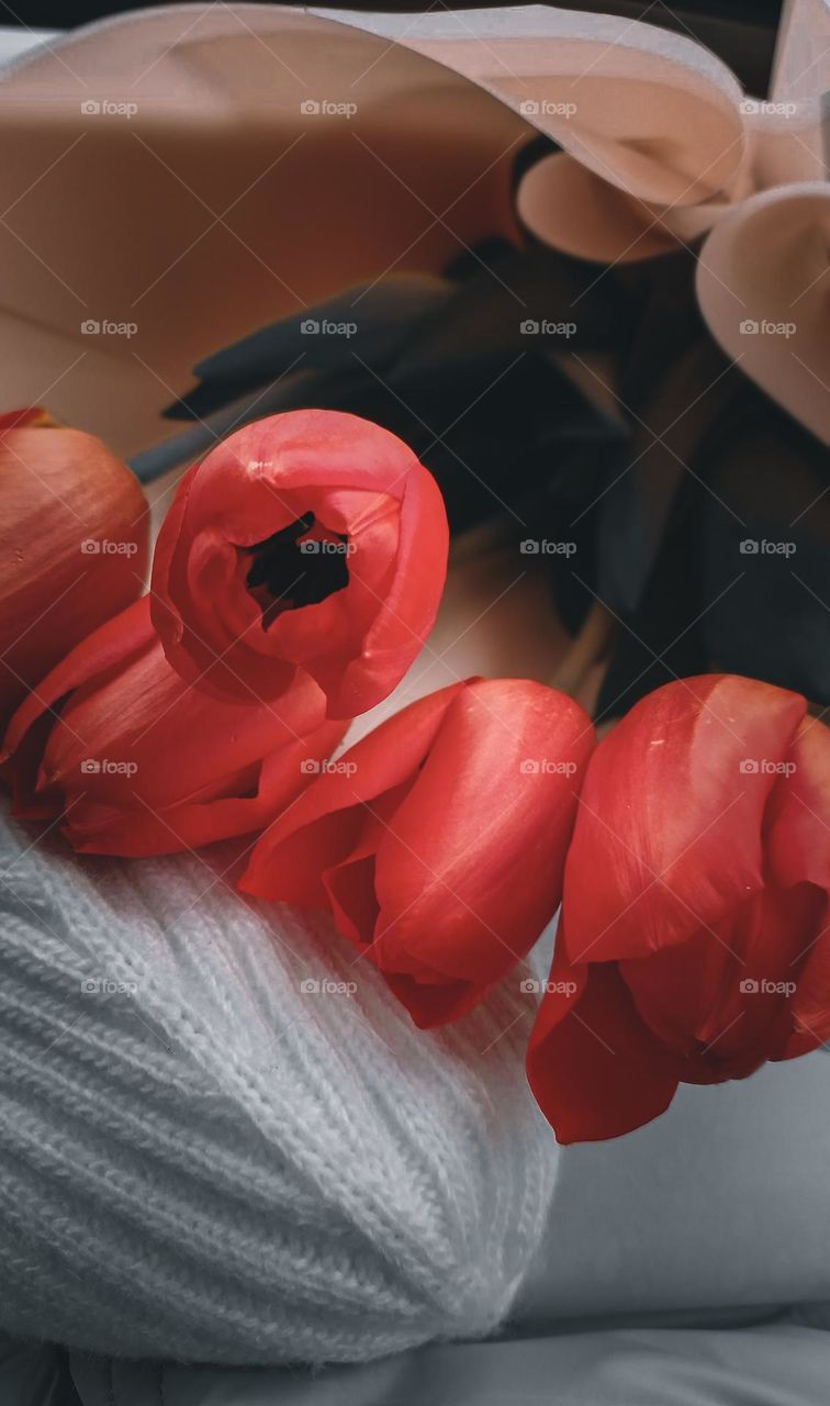 Your  burning flowers warm the soul in the cold autumn 🍂