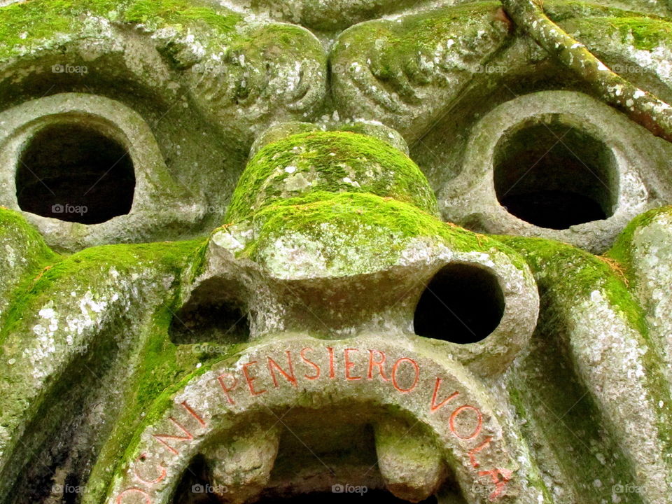 Green monster's face in the garden