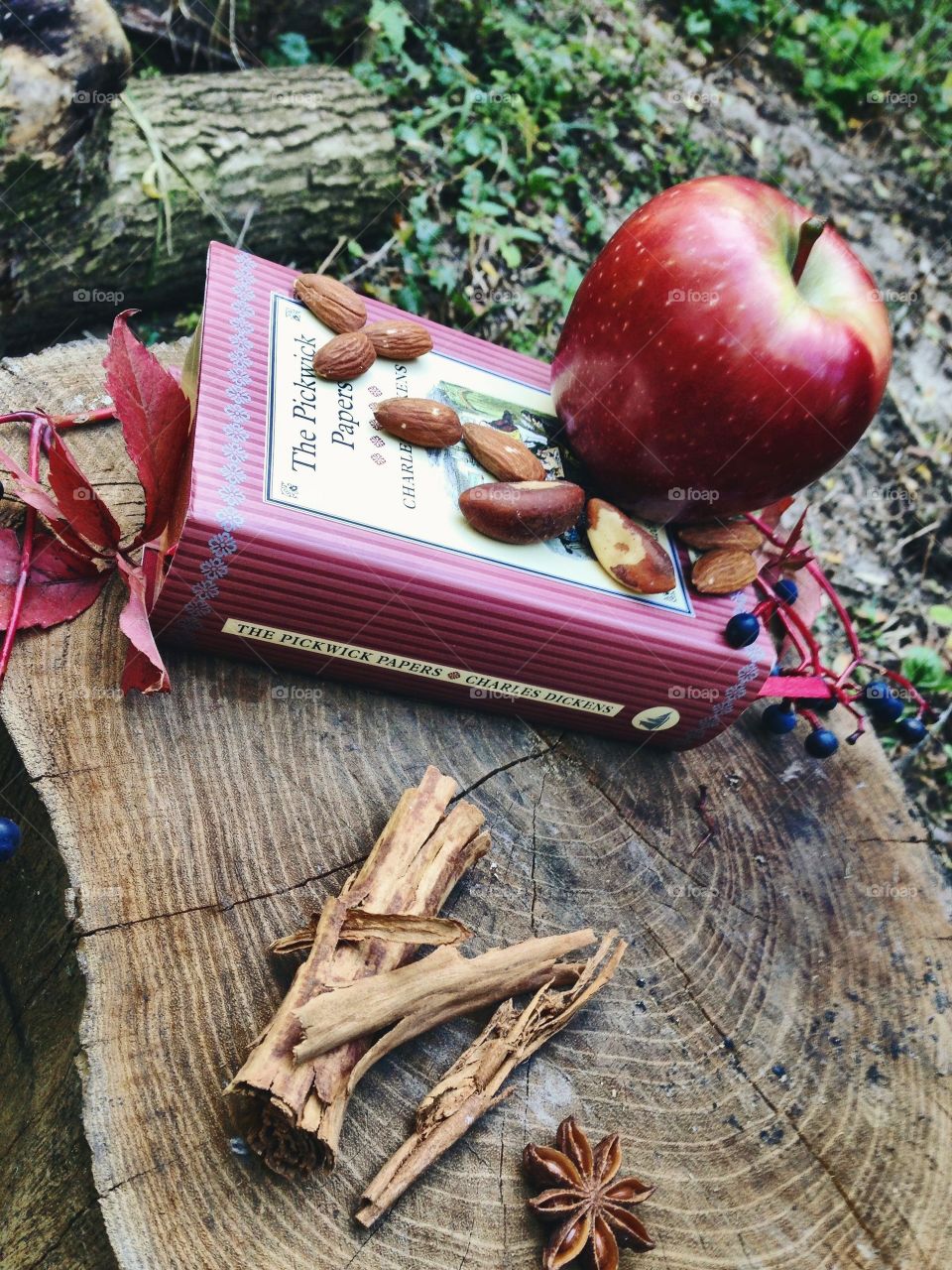 Apple on the book . In the forest 