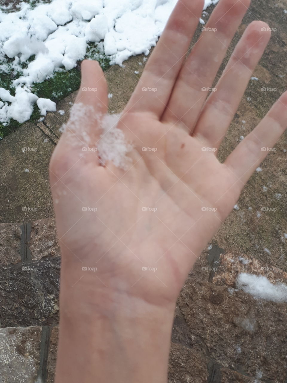 huge snowflake