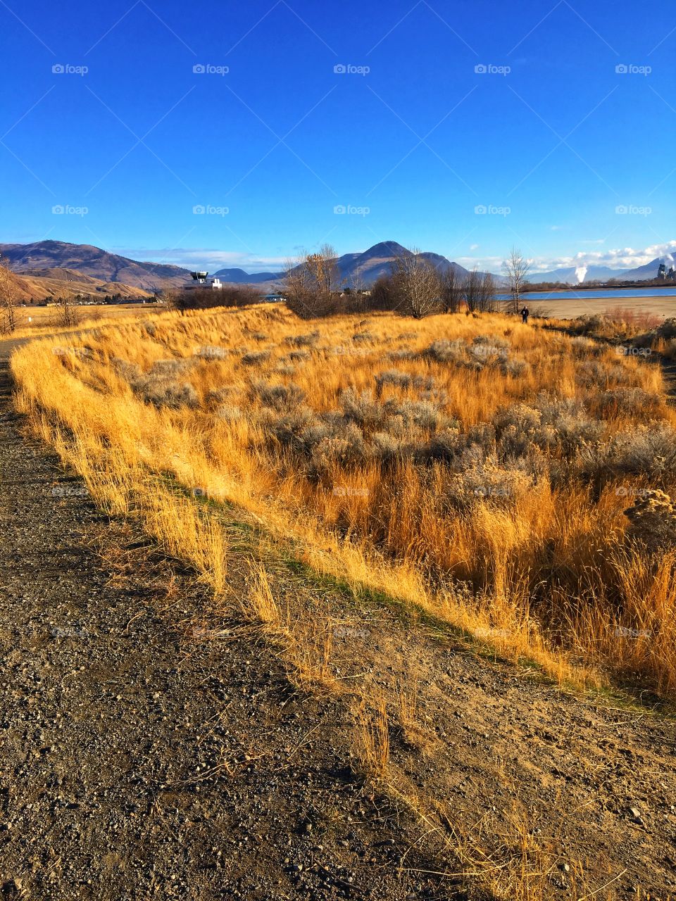 Beautiful fall walk! 