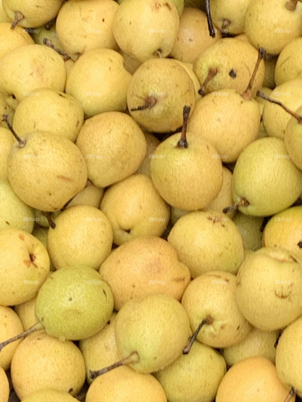 God makes the colours different and taste 