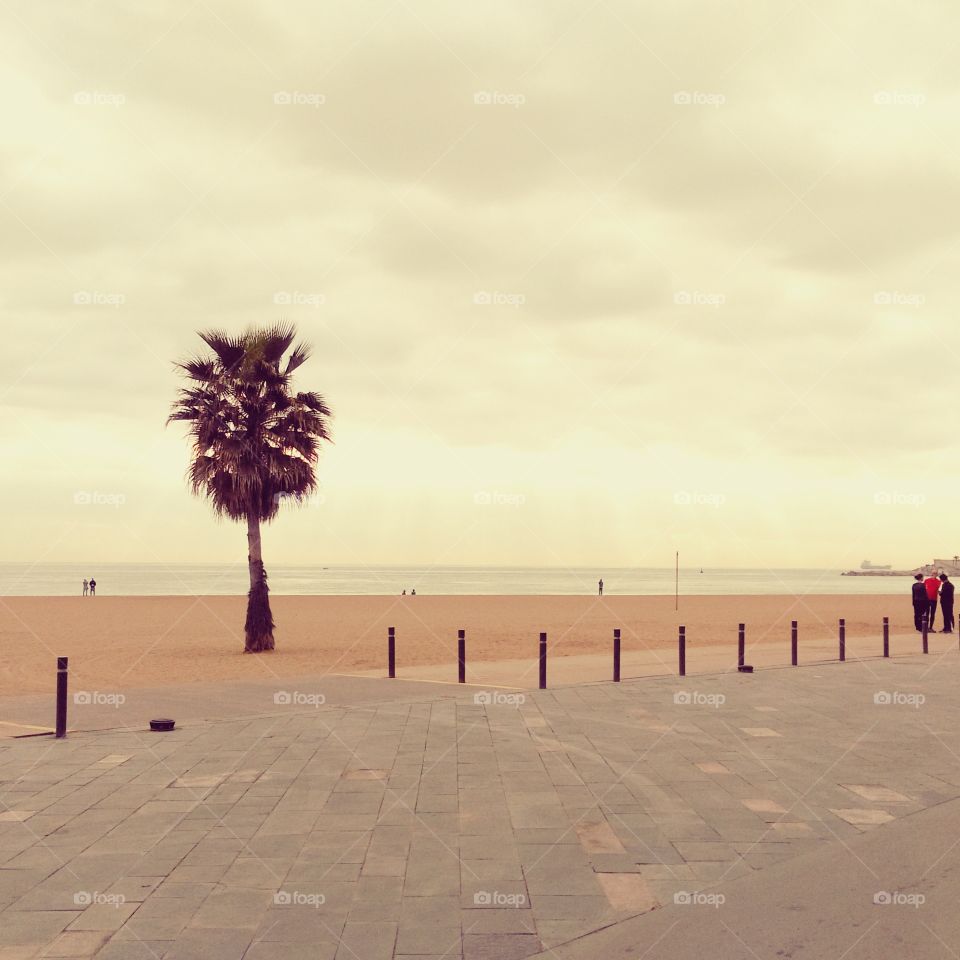 barceloneta