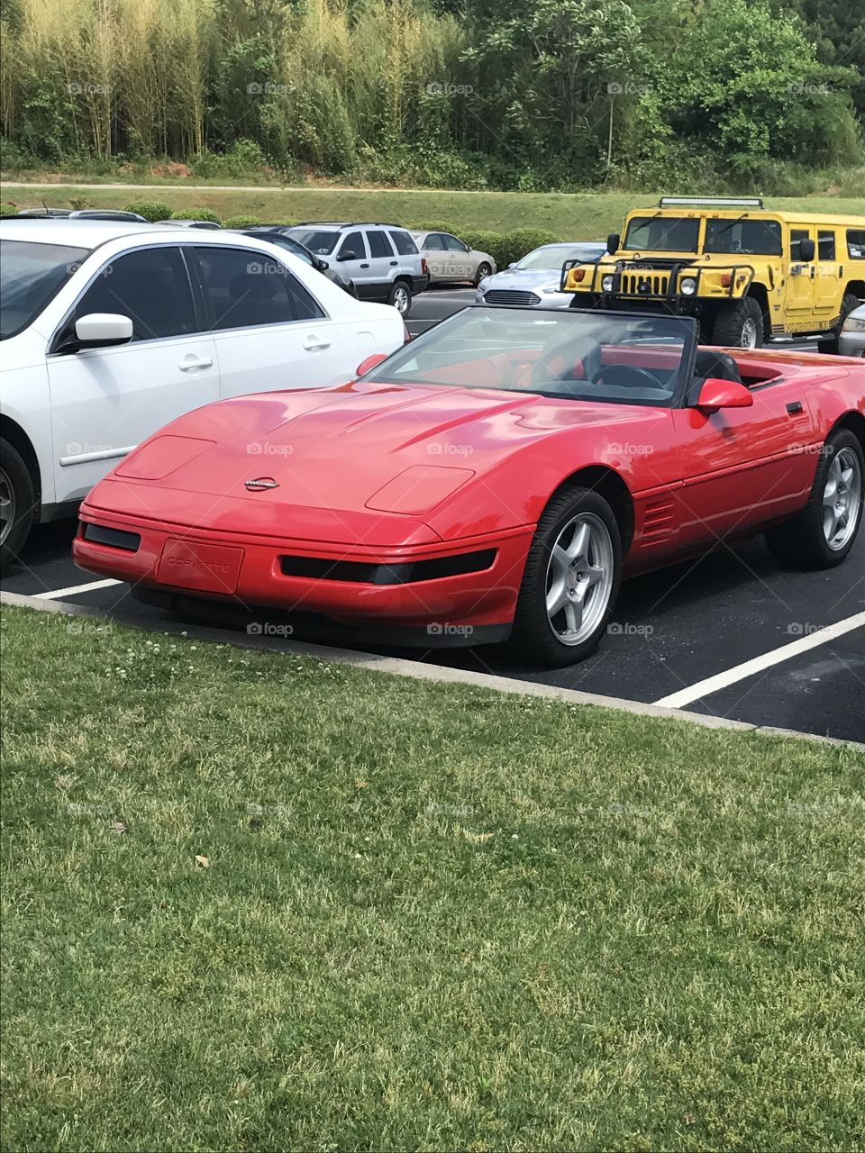 Red Corvette 