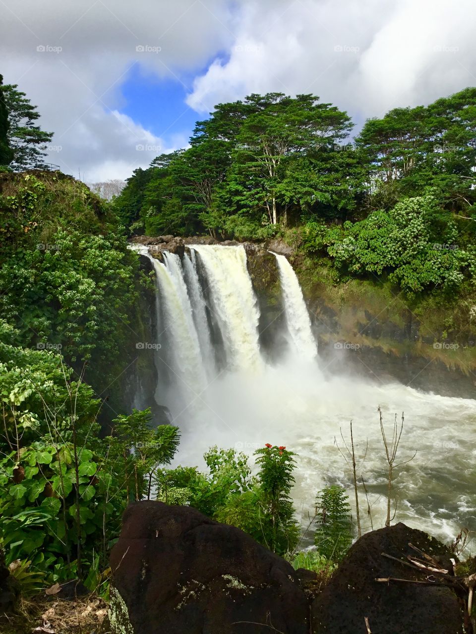 Rainbow Falls after a week of rain.