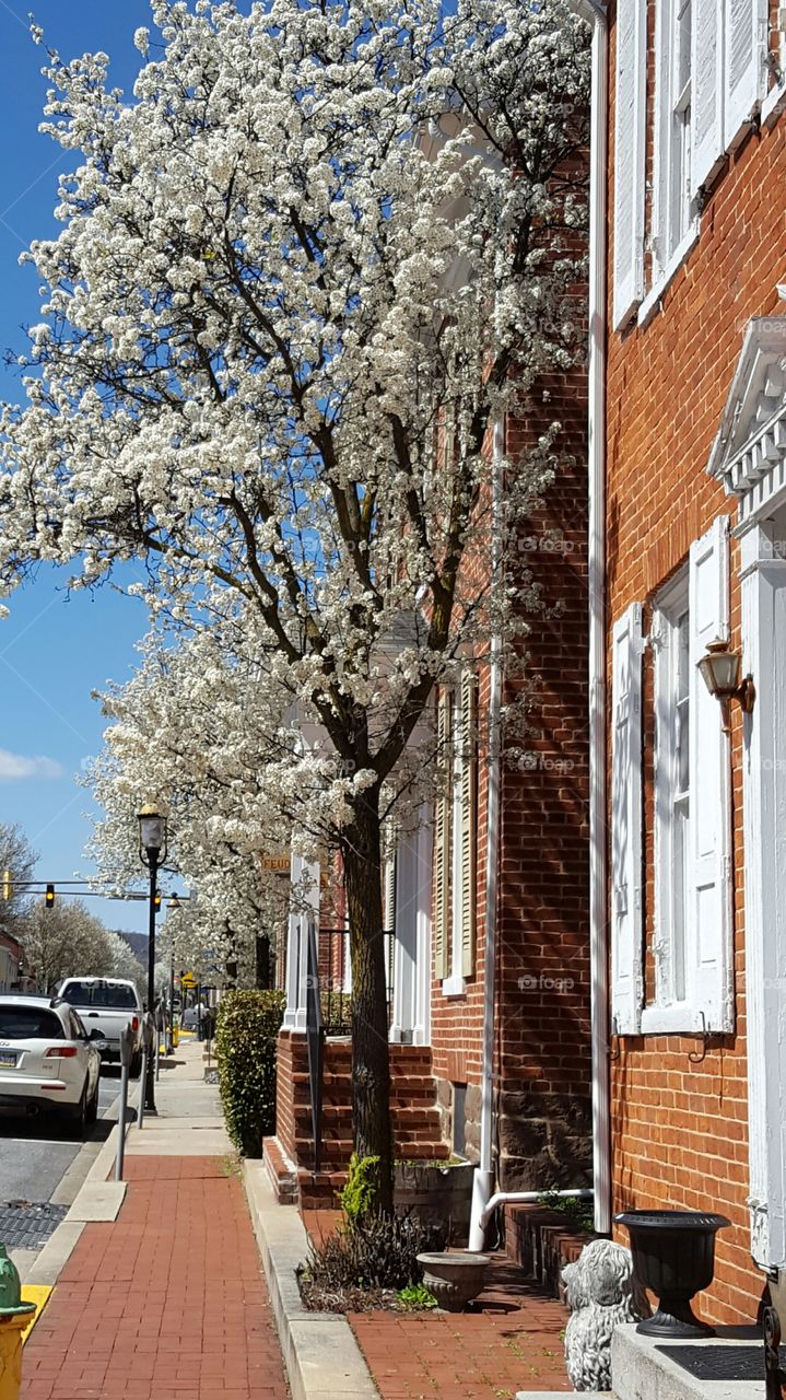 Main Street Smalltown USA