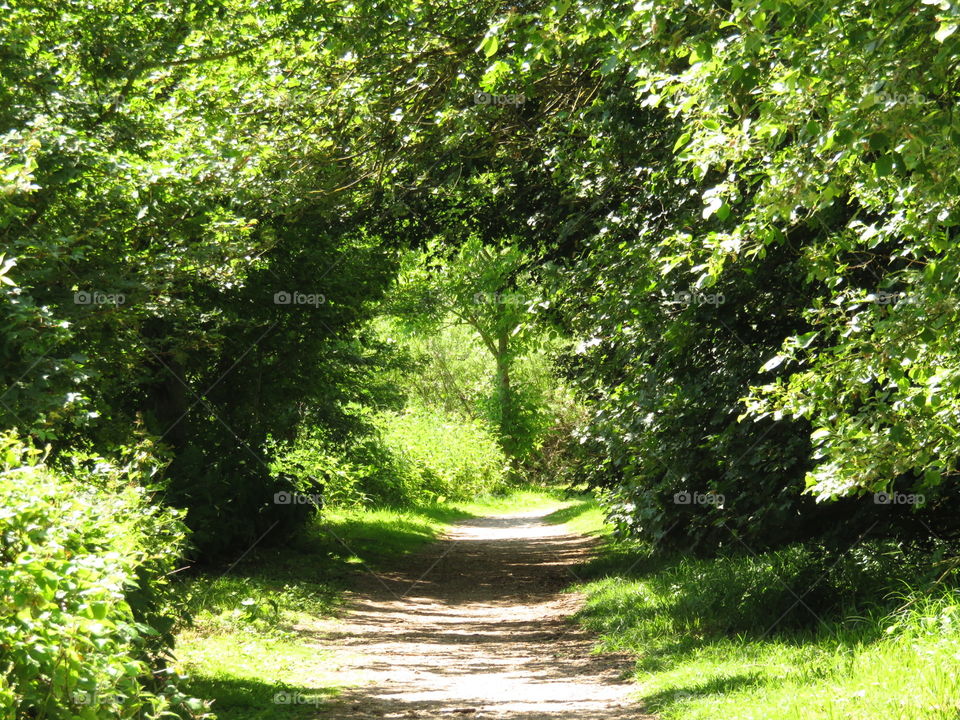 green arch