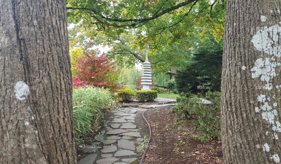 path in garden