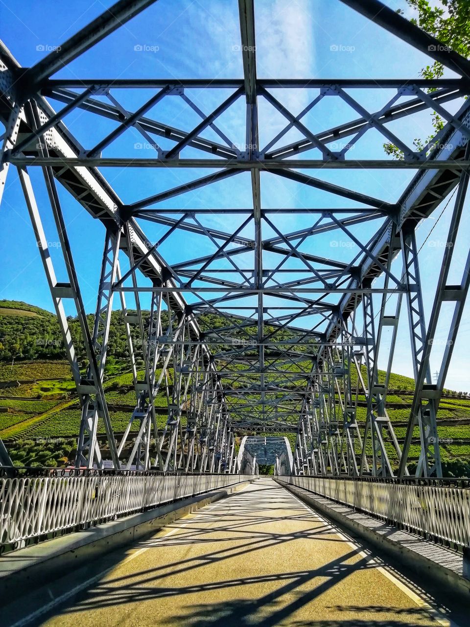 Color vs black and white