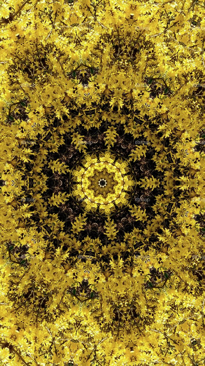 sping yellow blossoms mandala