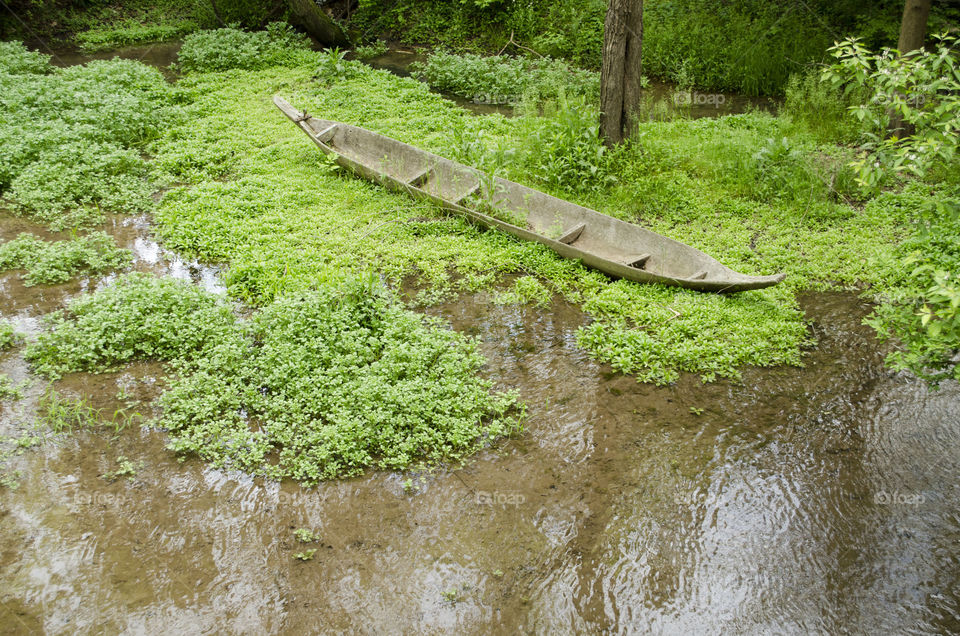 old handmade canoe in the swamp. canoe left behind in the swamp