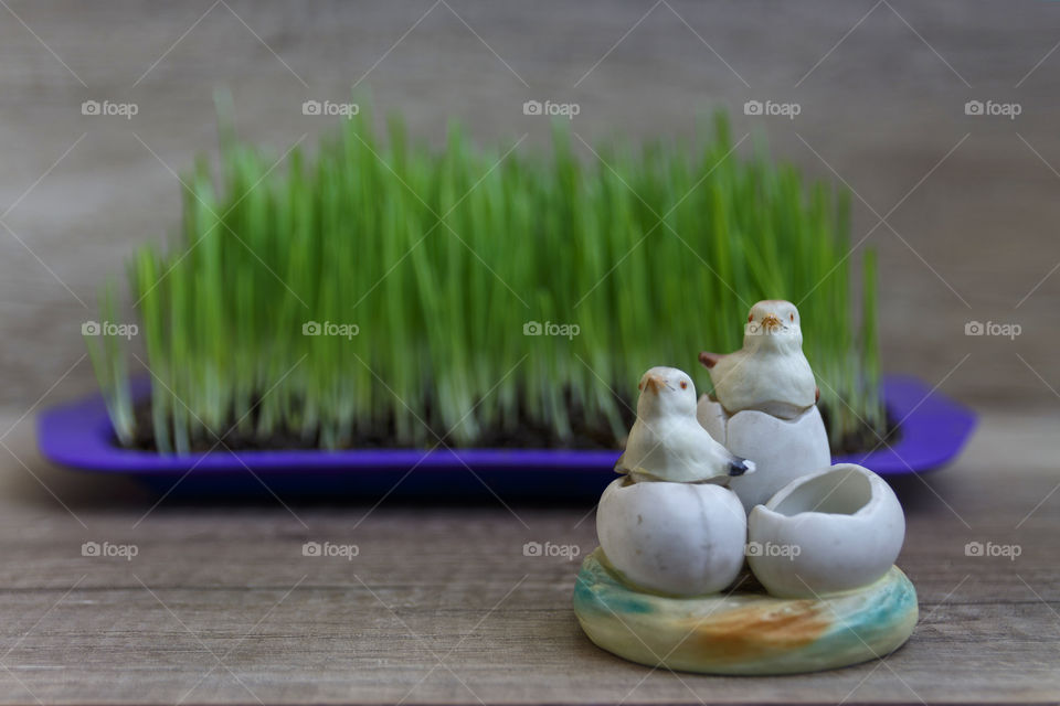 Green grass and birds toy