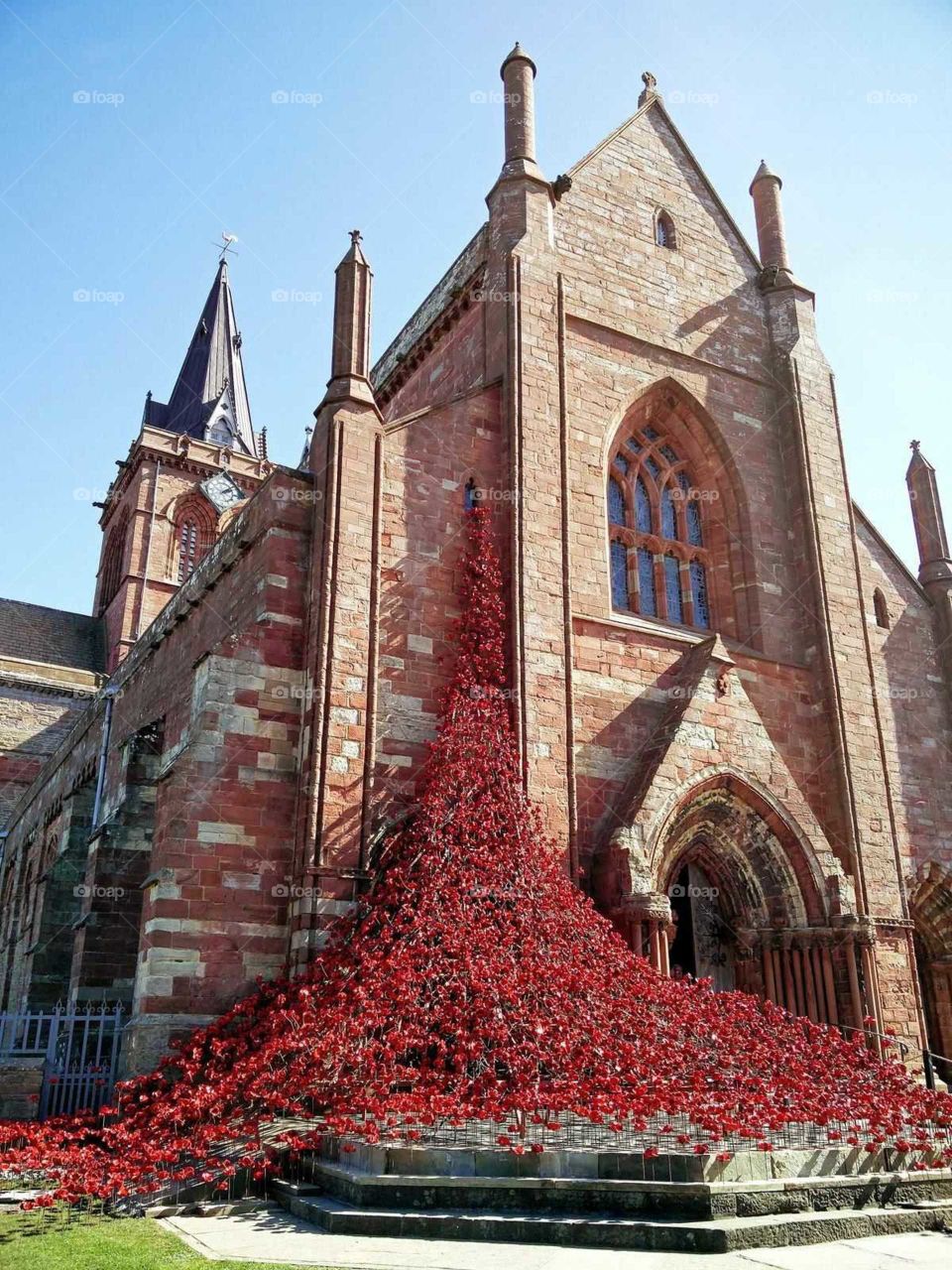 Poppies at St magnus cathedral