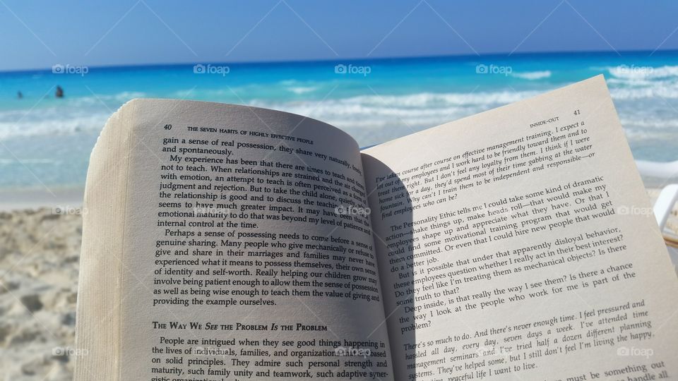 Reading by the sea