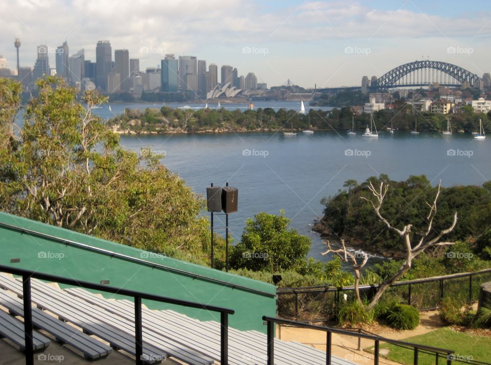 Sydney From Taronga. Sydney Harbour & Skyline