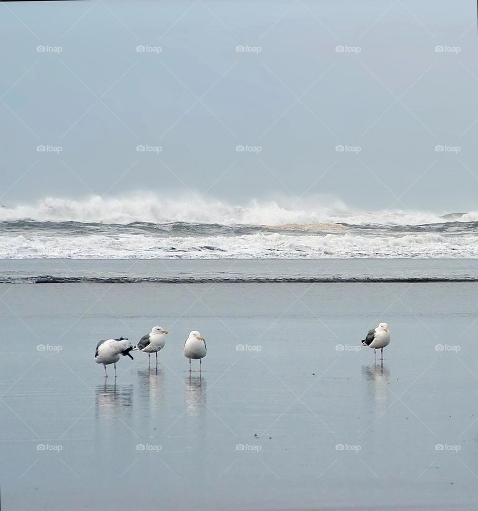 on the ocean